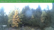 Archived webcam image showing Oberhof - View Botanic Garden on 26 Oct 2026 at 16:04