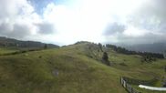 Archived webcam image showing Panorama of the Alpe di Siusi from the Puflatsch mountain station on 19 Jun 2026 at 08:54