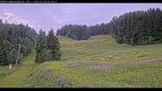 Archived webcam image showing Haldenköpfle - View lift 1 on 29 Jun 2026 at 06:41