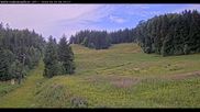 Archived webcam image showing Haldenköpfle - View lift 1 on 29 Jun 2026 at 08:41