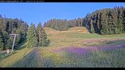 Archived webcam image showing Haldenköpfle - View lift 1 on 7 Jul 2026 at 06:08