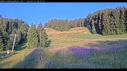 Archiviertes Webcam Bild: Haldenköpfle Lift 1 am 12.07.2026 um 06:13 Uhr