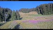 Archiviertes Webcam Bild: Haldenköpfle Lift 1 am 12.07.2026 um 07:13 Uhr