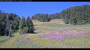 Archiviertes Webcam Bild: Haldenköpfle Lift 1 am 12.07.2026 um 10:13 Uhr