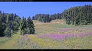Archiviertes Webcam Bild: Haldenköpfle Lift 1 am 12.07.2026 um 12:13 Uhr
