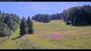 Archiviertes Webcam Bild: Haldenköpfle Lift 1 am 12.07.2026 um 16:13 Uhr