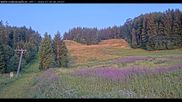 Archived webcam image showing Haldenköpfle - View lift 1 on 30 Jul 2026 at 06:35