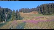 Archived webcam image showing Haldenköpfle - View lift 1 on 30 Jul 2026 at 07:35