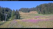 Archived webcam image showing Haldenköpfle - View lift 1 on 30 Jul 2026 at 08:35