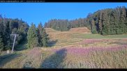 Archived webcam image showing Haldenköpfle - View lift 1 on 6 Aug 2026 at 07:10