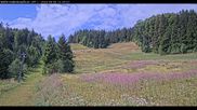 Archived webcam image showing Haldenköpfle - View lift 1 on 6 Aug 2026 at 12:07
