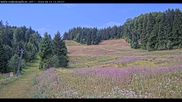 Archived webcam image showing Haldenköpfle - View lift 1 on 15 Aug 2026 at 12:08