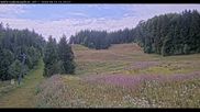 Archived webcam image showing Haldenköpfle - View lift 1 on 15 Aug 2026 at 14:08