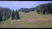 Archiviertes Webcam Bild: Haldenköpfle Lift 1 am 26.08.2026 um 14:01 Uhr