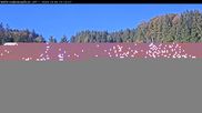 Archived webcam image showing Haldenköpfle - View lift 1 on 5 Oct 2026 at 10:20