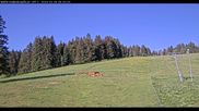 Archiviertes Webcam Bild: Haldenköpfle Lift 2 am 28.05.2026 um 08:32 Uhr