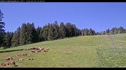 Archiviertes Webcam Bild: Haldenköpfle Lift 2 am 28.05.2026 um 10:32 Uhr