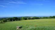 Archiviertes Webcam Bild: Herchenhainer Höhe: Vogelschmiede am 28.05.2026 um 08:12 Uhr