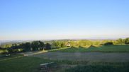 Archiviertes Webcam Bild: Herchenhainer Höhe: Vogelschmiede am 12.07.2026 um 06:47 Uhr