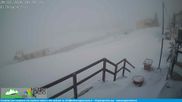 Archived webcam image showing Rifugio Viperella - View towards Campo Staffi on 28 Mar 2026 at 06:01