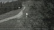 Archived webcam image showing Gemeindealpe Mitterbach - Fun Park on 26 Sep 2026 at 20:30