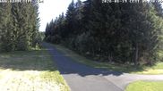 Archived webcam image showing Kammloipe: Nordic Trails Johanngeorgenstadt on 19 Jun 2026 at 08:47