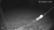 Archived webcam image showing Bad Marienberg - Schorrberg ski slopes on 8 Oct 2026 at 02:32