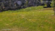 Archiviertes Webcam Bild: Kornberg Piste am 28.05.2026 um 14:35 Uhr