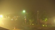 Archived webcam image showing View in Torfhaus in the Harz Mountains on 6 Jul 2026 at 00:23