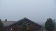 Archived webcam image showing View in Torfhaus in the Harz Mountains on 23 Aug 2026 at 07:36