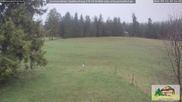 Archiviertes Webcam Bild: Scheuermatthof Todtnauberg - Blick auf die Piste am 13.04.2026 um 07:30 Uhr