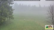 Archiviertes Webcam Bild: Scheuermatthof Todtnauberg - Blick auf die Piste am 13.04.2026 um 08:30 Uhr