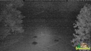 Archiviertes Webcam Bild: Scheuermatthof Todtnauberg - Blick auf die Piste am 28.05.2026 um 00:52 Uhr