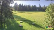 Archiviertes Webcam Bild: Scheuermatthof Todtnauberg - Blick auf die Piste am 28.05.2026 um 08:04 Uhr