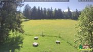Archiviertes Webcam Bild: Scheuermatthof Todtnauberg - Blick auf die Piste am 28.05.2026 um 10:34 Uhr