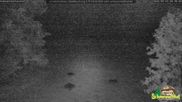 Archiviertes Webcam Bild: Scheuermatthof Todtnauberg - Blick auf die Piste am 29.05.2026 um 00:06 Uhr