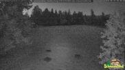 Archiviertes Webcam Bild: Scheuermatthof Todtnauberg - Blick auf die Piste am 29.05.2026 um 04:06 Uhr