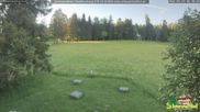 Archiviertes Webcam Bild: Scheuermatthof Todtnauberg - Blick auf die Piste am 29.05.2026 um 06:06 Uhr