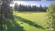 Archiviertes Webcam Bild: Scheuermatthof Todtnauberg - Blick auf die Piste am 29.05.2026 um 08:06 Uhr