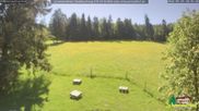 Archiviertes Webcam Bild: Scheuermatthof Todtnauberg - Blick auf die Piste am 29.05.2026 um 10:06 Uhr