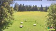 Archiviertes Webcam Bild: Scheuermatthof Todtnauberg - Blick auf die Piste am 29.05.2026 um 12:06 Uhr