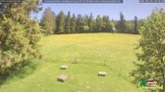 Archiviertes Webcam Bild: Scheuermatthof Todtnauberg - Blick auf die Piste am 29.05.2026 um 14:06 Uhr