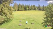 Archiviertes Webcam Bild: Scheuermatthof Todtnauberg - Blick auf die Piste am 29.05.2026 um 16:06 Uhr