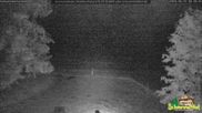 Archived webcam image showing Todtnauberg - Ski slope at Scheuermattwiese on 15 Jun 2026 at 00:07