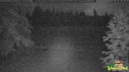 Archived webcam image showing Todtnauberg - Ski slope at Scheuermattwiese on 29 Jun 2026 at 04:09