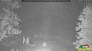 Archiviertes Webcam Bild: Scheuermatthof Todtnauberg - Blick auf die Piste am 12.07.2026 um 00:45 Uhr