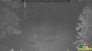 Archiviertes Webcam Bild: Scheuermatthof Todtnauberg - Blick auf die Piste am 12.07.2026 um 02:45 Uhr
