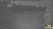 Archiviertes Webcam Bild: Scheuermatthof Todtnauberg - Blick auf die Piste am 12.07.2026 um 04:45 Uhr
