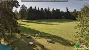 Archiviertes Webcam Bild: Scheuermatthof Todtnauberg - Blick auf die Piste am 12.07.2026 um 08:45 Uhr