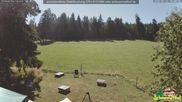 Archiviertes Webcam Bild: Scheuermatthof Todtnauberg - Blick auf die Piste am 12.07.2026 um 10:45 Uhr